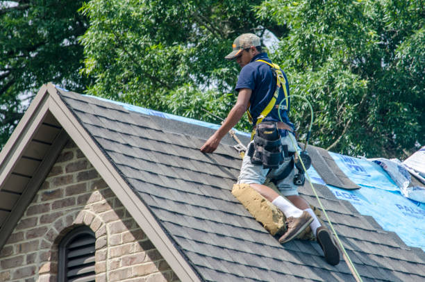 Best Roof Gutter Cleaning  in Bellbrook, OH